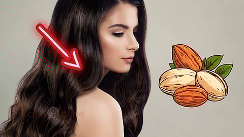 Hair Care Tips