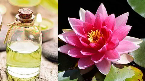 skin care tips