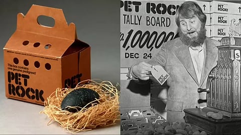 Pet Rock