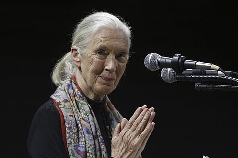 Primatologist and conservationist Jane Goodall delivers the 50th George Gamow Memorial Lecture
