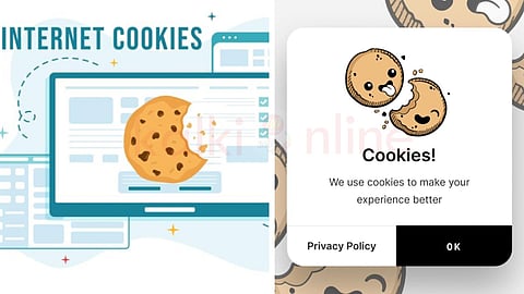 Internet cookies