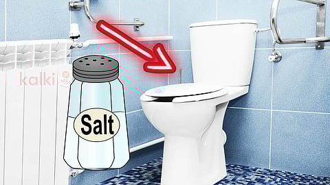 Toilet Salt