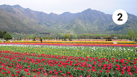 Kashmir Travel Series