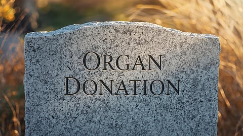 organ donation