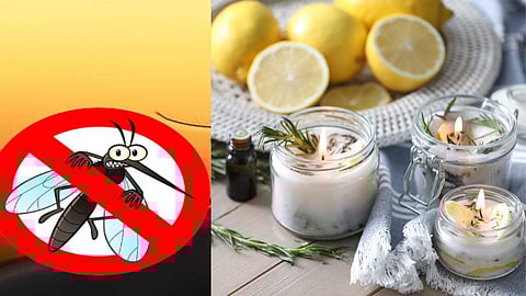 Some simple ways to repel mosquitoes!