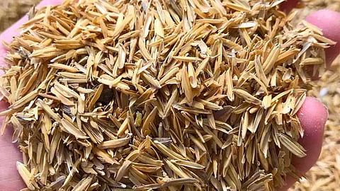 Benefits of Paddy husk