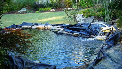 Rainwater harvesting