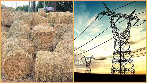 Electricity from Agri waste