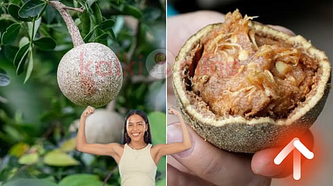 Vilampazham benefits