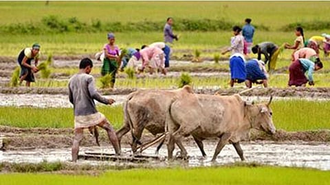Farmer's life during the rainy season