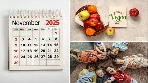 November Important International Days