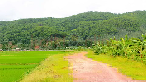 Jarugumalai
