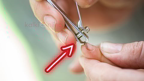Nail Cutter