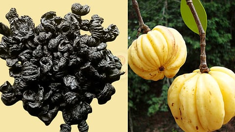 Benefits of Kudam Tamarind!