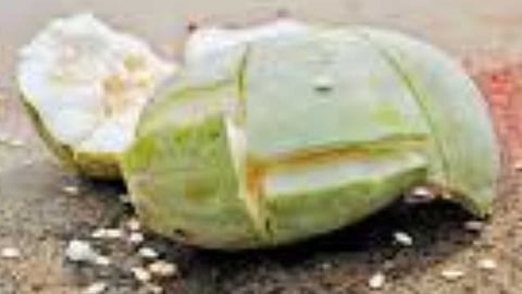 Pumpkin Parikaram to eliminate money shortage