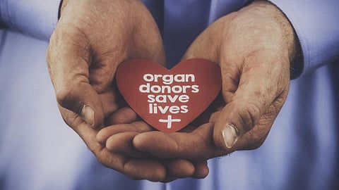organ donation