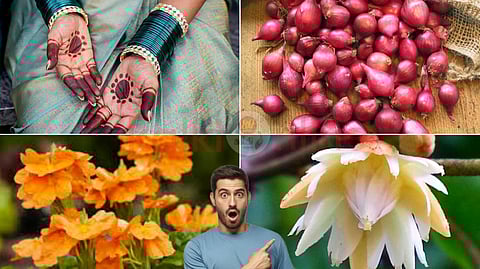 Remedies to remove negativity