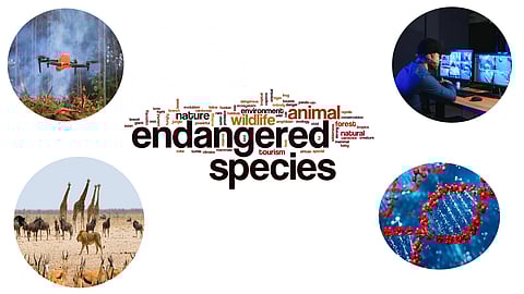 Endangered species