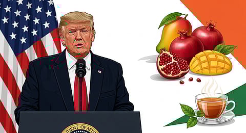 Trump announces tariff cuts with Indian mango, pomegranate, tea
