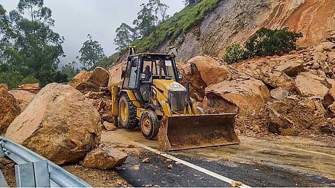 Oasis trees that prevent landslides