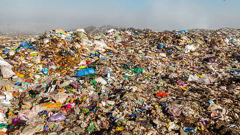 One-third of food is wasted annually