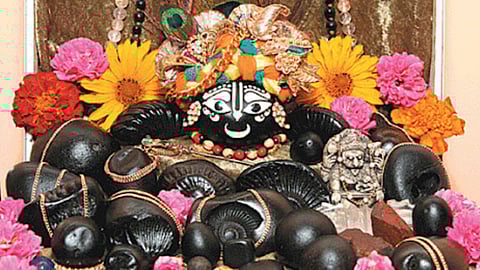 Salagrama Stone Worship