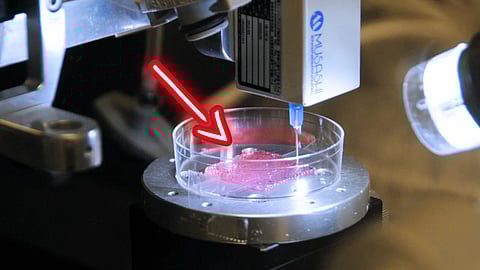 3D bio-printer