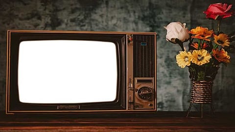 Does television foster service culture?