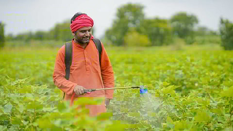 Natural pesticide for crops