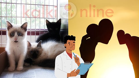 Cats and power of love