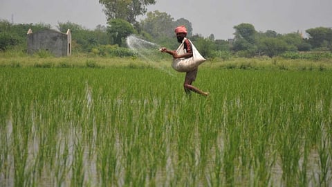 Methods to help prevent soil nutrient loss