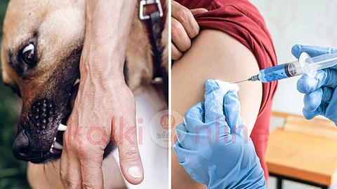 A dog bite a person and injection for prevention