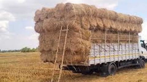 Profitable hay business