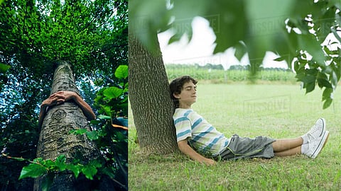 Living in harmony with nature