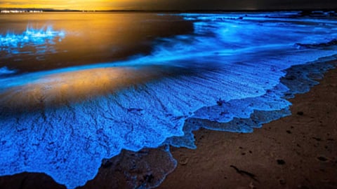 Beaches that glow in blue