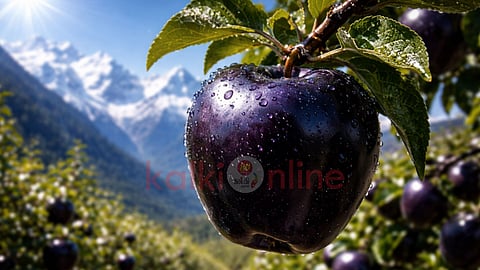 Black Diamond Apple