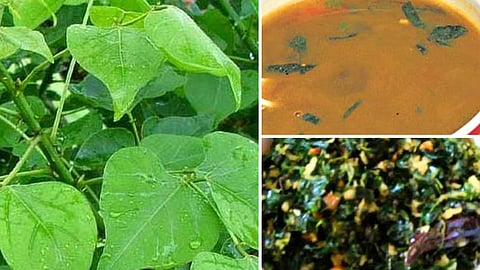 Kalyana Murungai leaf