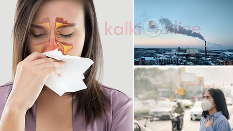 Sinus Problem reasons and preventions