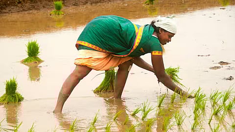 Nannilam Magalir Nila Udamai Thittam
