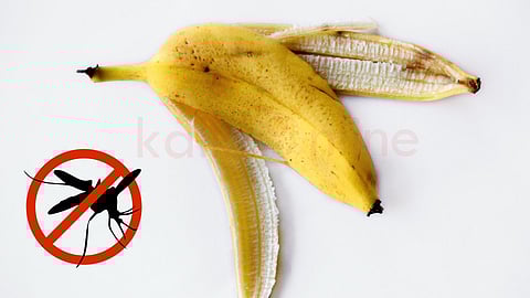 Banana peel