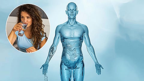 human body water content