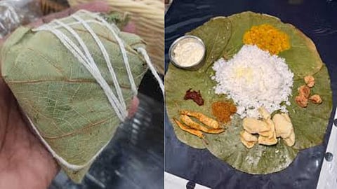 The glory of the Mandarai leaf