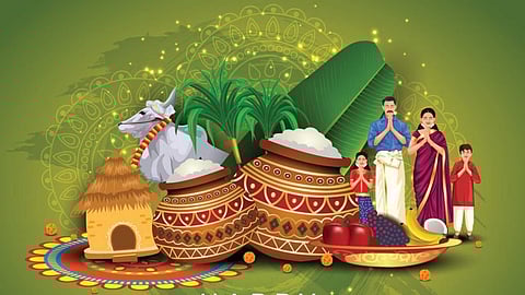The Pongal festival, celebrated throughout India