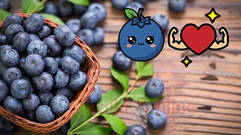 Blueberry fruit health benefits