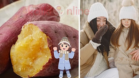 Sweet potato benefits in winter season