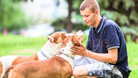 Affection is the main thing.