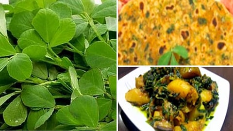 Fenugreek spinach Recipes