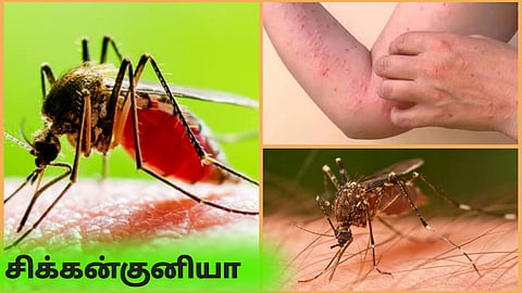 Chikungunya Do's & Dont's