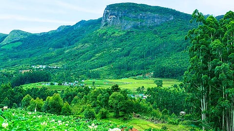 Kandalur travel experience