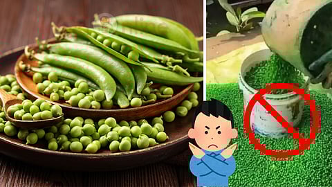 Normal green peas and chemical adding green peas